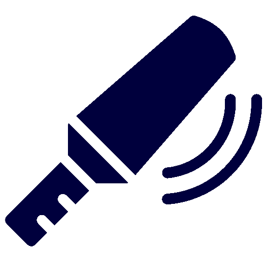 Metal Detector